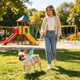 thumbnail image 4 of Breathable No-Pull Dog Harness and Leash Set for Small Medium Large Dogs Multi-Point Adjustable Metal D-Ring Bubble Cotton Padded Saddle Vest for Training Walking, 4 of 4