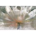 thumbnail image 2 of Calascibetta, Mike 18x13 Gold Ornate Wood Framed with Double Matting Museum Art Print Titled - Lily Light, 2 of 4
