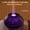 Crackled black, variant on Ultrasonic Flame Essential Oil Diffuser with 7-Color LED Light Simulation, Portable USB Cool Mist Humidifier for Office and Home, Auto-Shutoff Waterless Protection, 150ml Reservoir