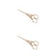 thumbnail image 4 of Riwesomey Tijeras de costura de moda y duraderas para bordado y costura, tijeras fáciles de bordar, torres, tijera dorada Torres sissor oro 2Conjunto, 4 of 6