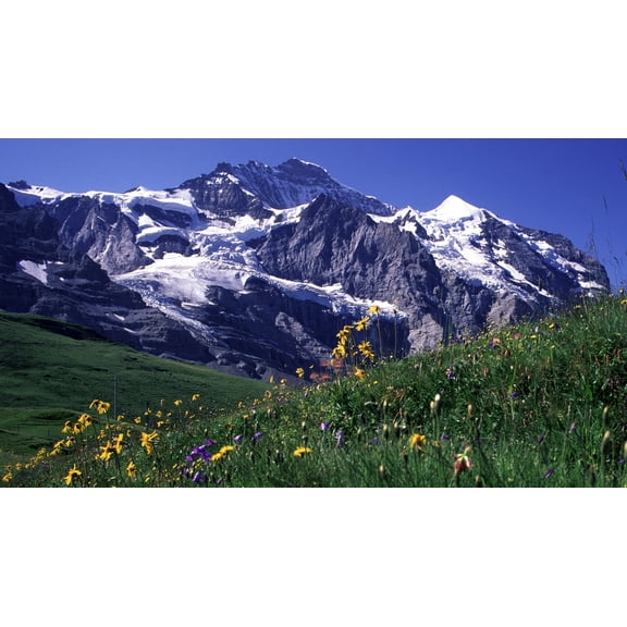 Wall Art Impressions 24x36in Swiss Jungfrau mountains Photographic Print Poster Most Beautiful Places in Switzerland
