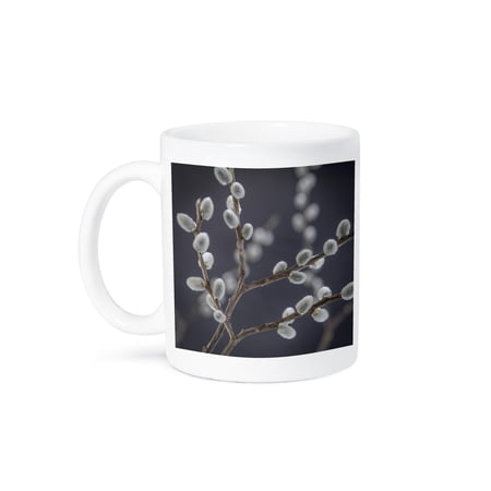 3dRose, USA, Washington State, Seabeck. Close-up of pussy willows., 11oz Mug
