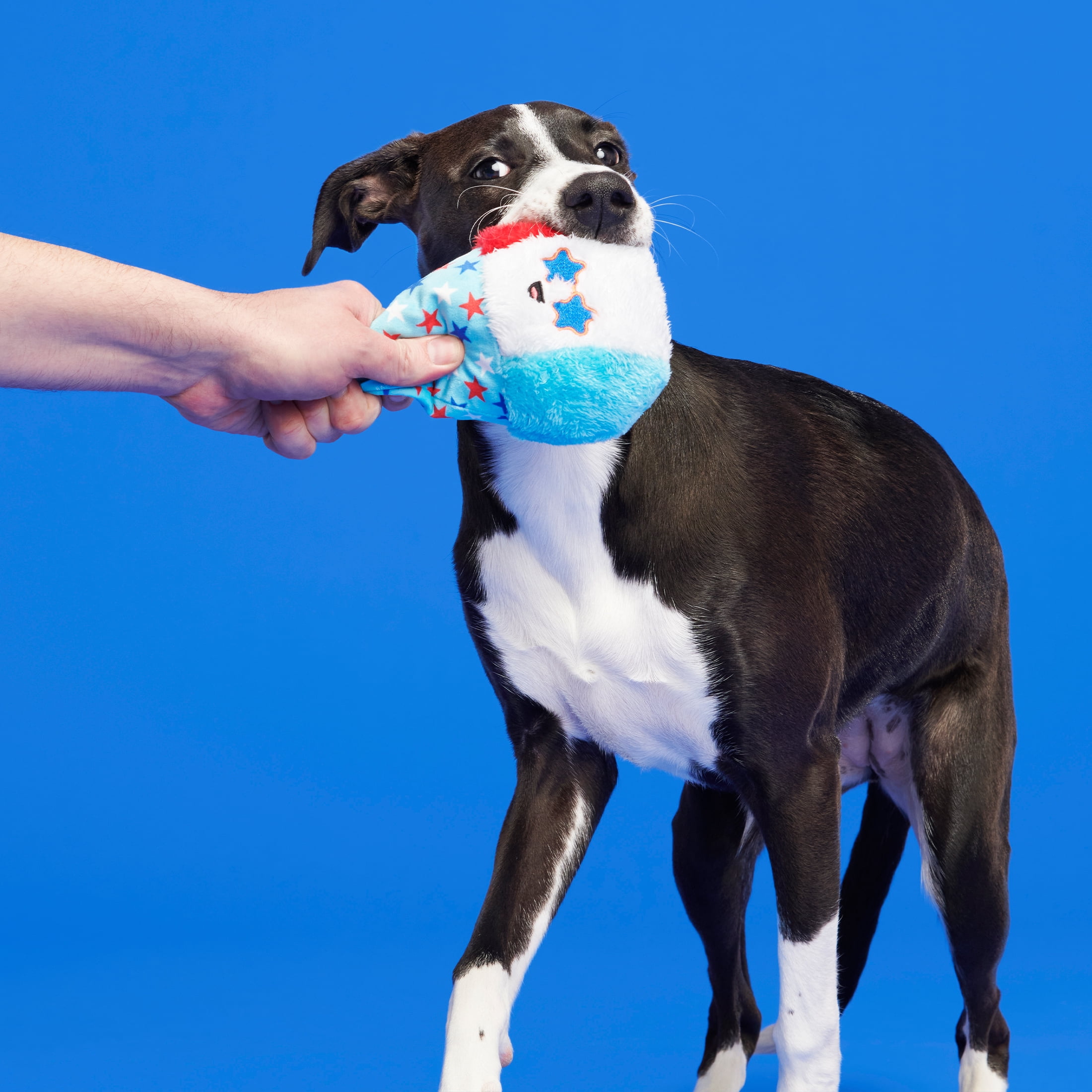 Automated toys for dogs deals