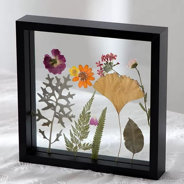 Cadre Spécimen de Fleurs et Feuilles Séchées Cadre en Bois avec Réel