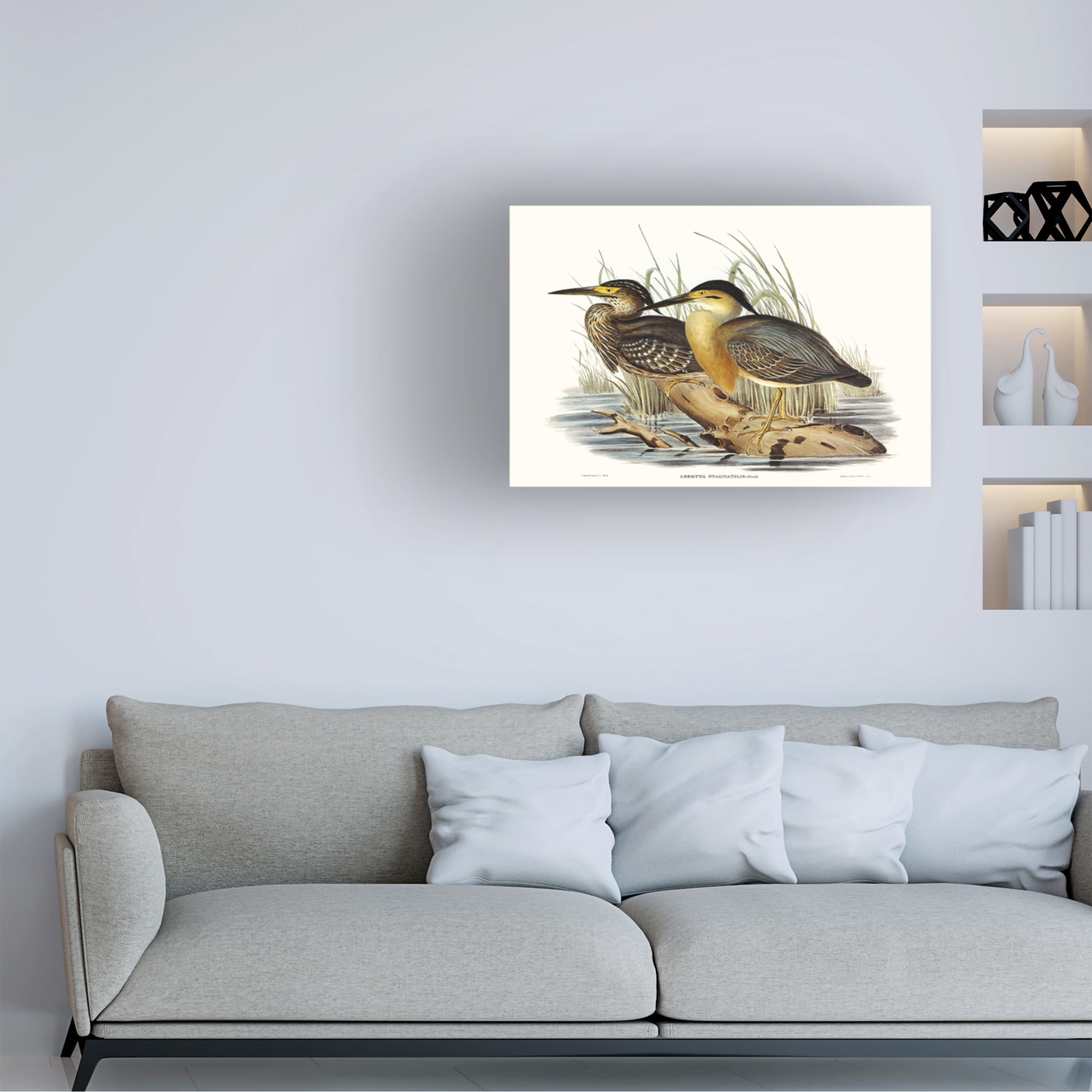 Trademark Fine Art Elizabeth Gould  Waterbird Pairing IV Canvas Wall Art
