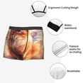 thumbnail image 3 of Kdxio Men's Boxer Briefs with Cute Cloud Pomeranian Print - Comfortable and Breathable Underwear for Everyday Wear, 3 of 5
