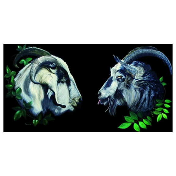 Dbuk - Songs Nine Through Sixteen - Music & Performance - Vinyl