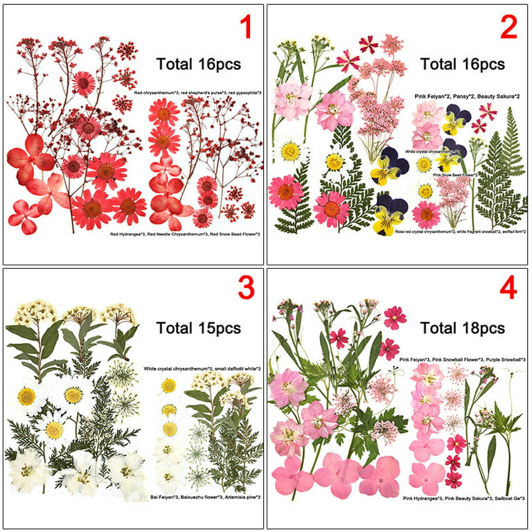 Floral Paint Palette, Real Pressed Flowers, Resin Flower Painters