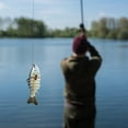thumbnail image 2 of Zmoon Fishhook Bionic Bait Lure, 2 of 4