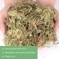 thumbnail image 6 of DIY Filamentous Moss, 2.2 lbs Dried Moss with Realistic Texture, Decorative Landscaping Material for Planting, Terrariums, Vivariums, and Garden Decoration, 6 of 6