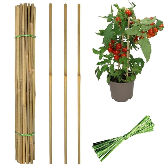 20 Pcs Bamboo Plant Stakes,Bexikou 17.7 Natural Bamboo Garden Stakes for Outdoor,Plant Support Stakes for Tomato,Beans,Vegetable and Climbing Plants