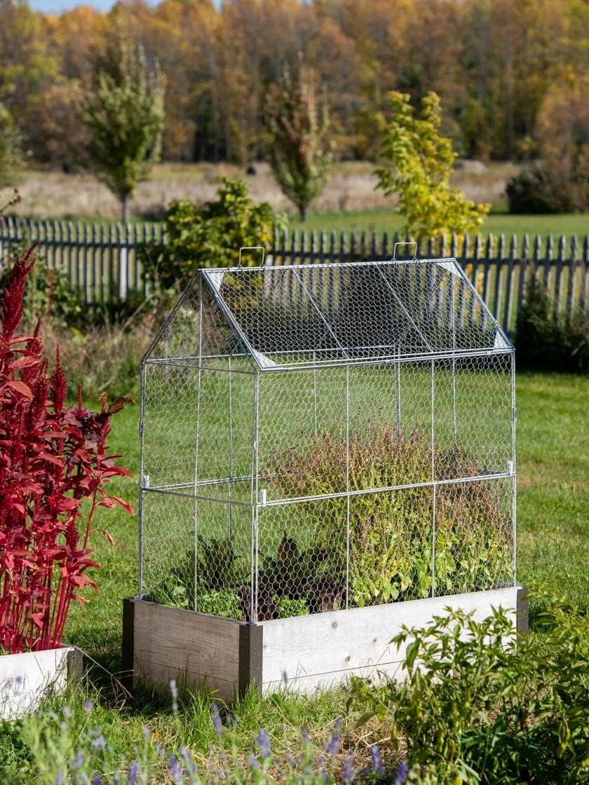Pelopy 20 Pack Wire Plant Protectors From Animals, 12" X 12" Chicken Wire Cloche Plant Cages With Stake Keep Squirrel Out, Sturdy Metal