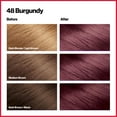thumbnail image 3 of Revlon Colorsilk Beautiful Color Permanent Hair Color 3 Pack, 048 Burgundy, 3 Pack, 3 of 15