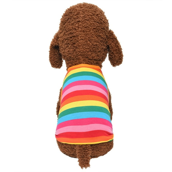 Pet Vest for Autumn Rainbow Stripes Apparel for Cats and Dogs – Fashionable Lightweight Vest for Daily Walks and Play