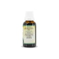 thumbnail image 3 of Castaño de Indias Compuesto Extracto 30 ml Green House Green House GRHCASTANOINDIASEXT, 3 of 5
