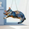 thumbnail image 4 of 100Fens Cat Window Hanging Decor Suncatcher - Colorful Cat Acrylic Hanging Ornament Wall Art Pendant for Kitchen Room Garden Office Decoration Pet Lovers Birthday Favor Housewarming Gifts, 4 of 8