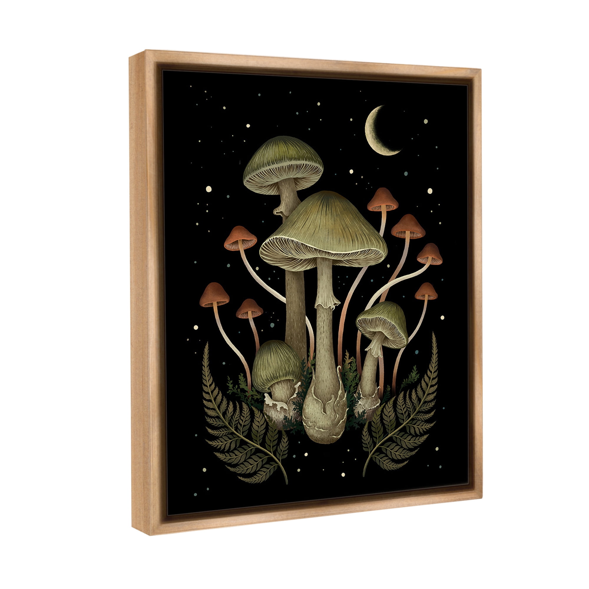 Stupell Industries Night Mushrooms & Ferns Botanical & Floral Painting Brown Floater Framed Canvas Art Print Wall Art, 25 x 31