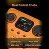 FLAMMA FF20 Looper Pedal Drum Machine Drum Looper Guitar Pedal with Screen 300 Min Recording 220 Drum Grooves 100 Loop Slots Time Stretch Auto Record USB & Headphone Out for Guitar and Bass