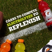 (24 Count) Gatorade Thirst Quencher Sports Drink Variety Pack, Fruit Punch and Cool Blue, 12 fl oz
