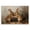 Bunny Boxing Duo Woodland Wildlife, variant on Stupell Industries Bunny Boxing Duo Animals & Insects Painting Gallery Wrapped Canvas Art Print Wall Art, 24 x 16