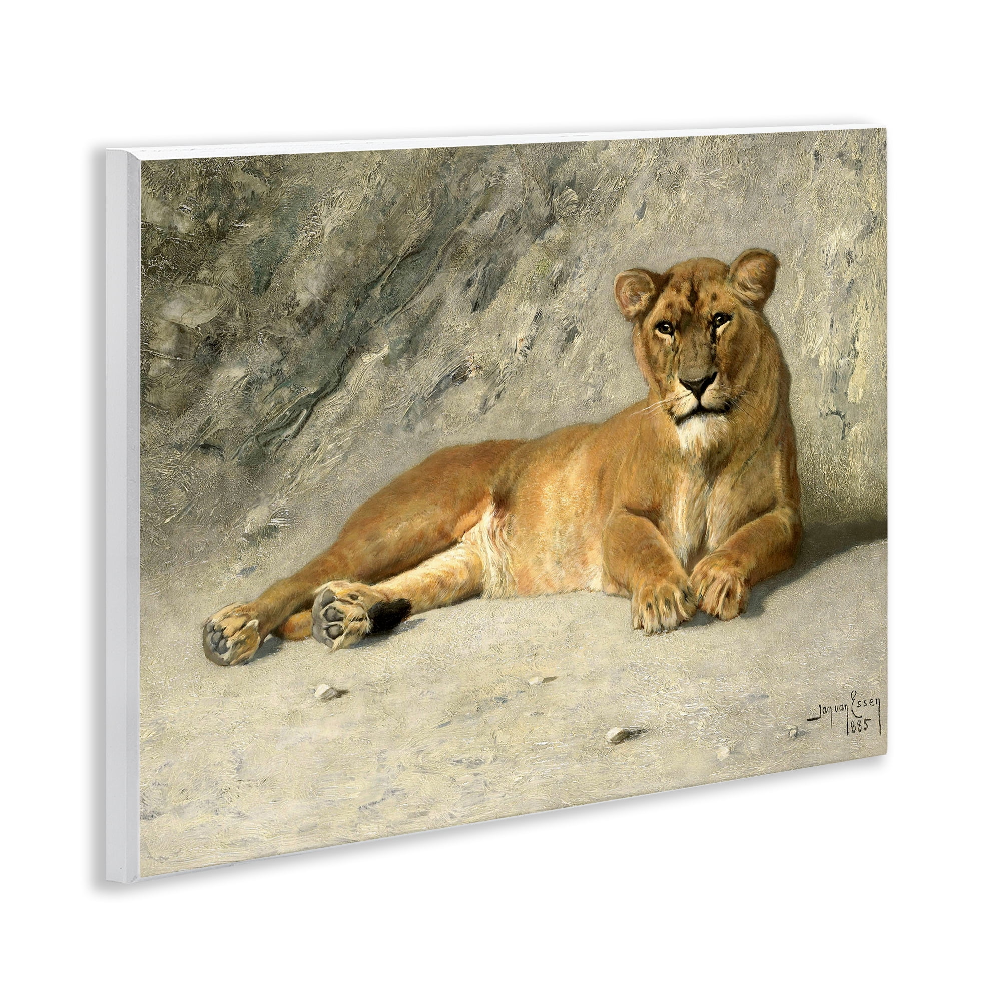 Stupell Industries Protective Wild Lion Animals Photography Unframed Art Print Wall Art, 14 x 11