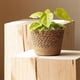 thumbnail image 5 of Straw Weaving Flower Plant Pot Wicker Basket Rattan Flowerpot Storage Basket Handmade Woven Planter, 5 of 5