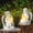 Angel Boy and Girl, variant on Pet Cat Solar Garden Memorial Statue – Outdoor Resin Angel Kitty with Solar Light, Guardian Angel Kitten Memorial Gift for Patio, Lawn, Yard, or Garden Christmas Decor