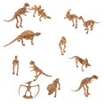 thumbnail image 3 of Surtido de dinosaurios Baoblaze 12 Piezas juguete Esqueleto de dinosaurio, 3 of 8