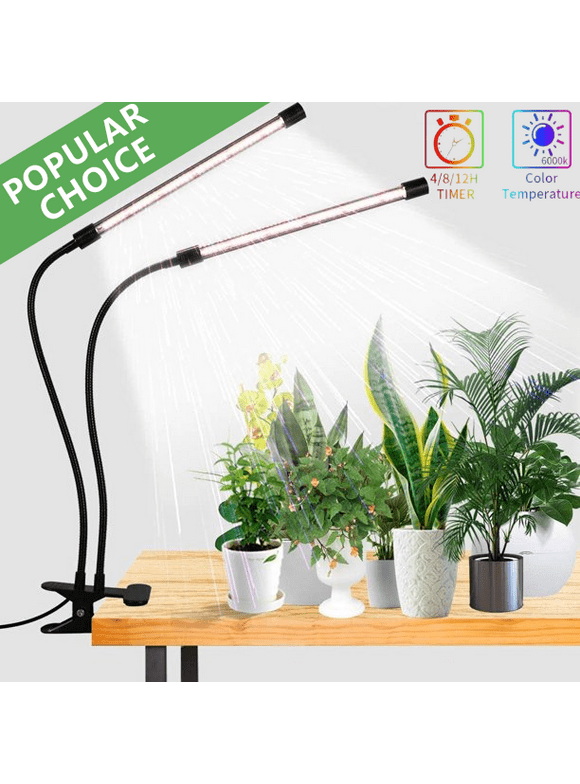 Grow Light Bulbs in Light Bulbs