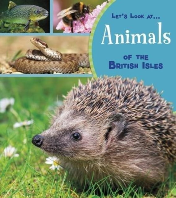 ANIMALS OF THE BRITISH ISLES - Walmart.com - Walmart.com