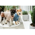 thumbnail image 3 of Touchdog Leather & Polyester Modress Dog & Cat Dresses, Blue, L, 3 of 6