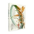 thumbnail image 2 of Trademark Fine Art 'Tropical Variety III' Canvas Art by Curtis, 2 of 3