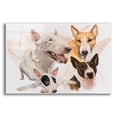 thumbnail image 1 of Epic Art 'Bull Terrier with Ghost Image' by Barbara Keith, Acrylic Glass Wall Art, 16"x12", 1 of 8