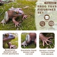 thumbnail image 3 of Figura de rana de árbol realista Scahow, figura de rana toro pintada a mano de plástico, juguetes educativos de modelo Animal de goma para niños, 3 of 5