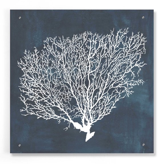 Epic Art 'Inverse Sea Fan II' by Grace Popp, Acrylic Wall Glass, 24"x24"