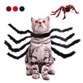thumbnail image 2 of Amdohai Pet Chest Back Strap Cats Dogs Animals Spider Transformation Costume, 2 of 7