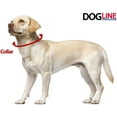 thumbnail image 6 of DogLine - Biothane Waterproof Dog Collar Strong Coated Nylon Webbing with Black Hardware Odor-Proof for Easy Care Clean High Performance Fits Small Medium Large Dogs(Berry: L: 22" - 25" |W 1"), 6 of 8