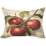 Bestwell Vintage Fruit Painting Plush Pillowcase,Luxury Soft King Pillow Case for Hair and Skin, Set Standard Size Pillow Covers with Zipper Closure,20x40in #571