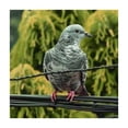 thumbnail image 4 of WYYP Birds Trees Bushes Square Tablecloth Full Width Single-Sided Printing 100% Polyester Fiber 46*46, 4 of 8