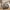 Brown Black Gray, variant on Bedduvit Queen Size Quilt Set, 100% Cotton Brown Black Beige Real-Patchwork Plaid Neutral Quilt for Queen Bed, Farmhouse Lightweight Bedspread 3-Piece Winter Comforter Set for All Season (98"x90")