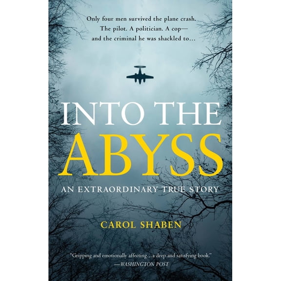Pre-Owned Into the Abyss: An Extraordinary True Story by Shaben, Carol (2014) Paperback, 9781455501960, 1455501964, Paperback, Illustrated edition