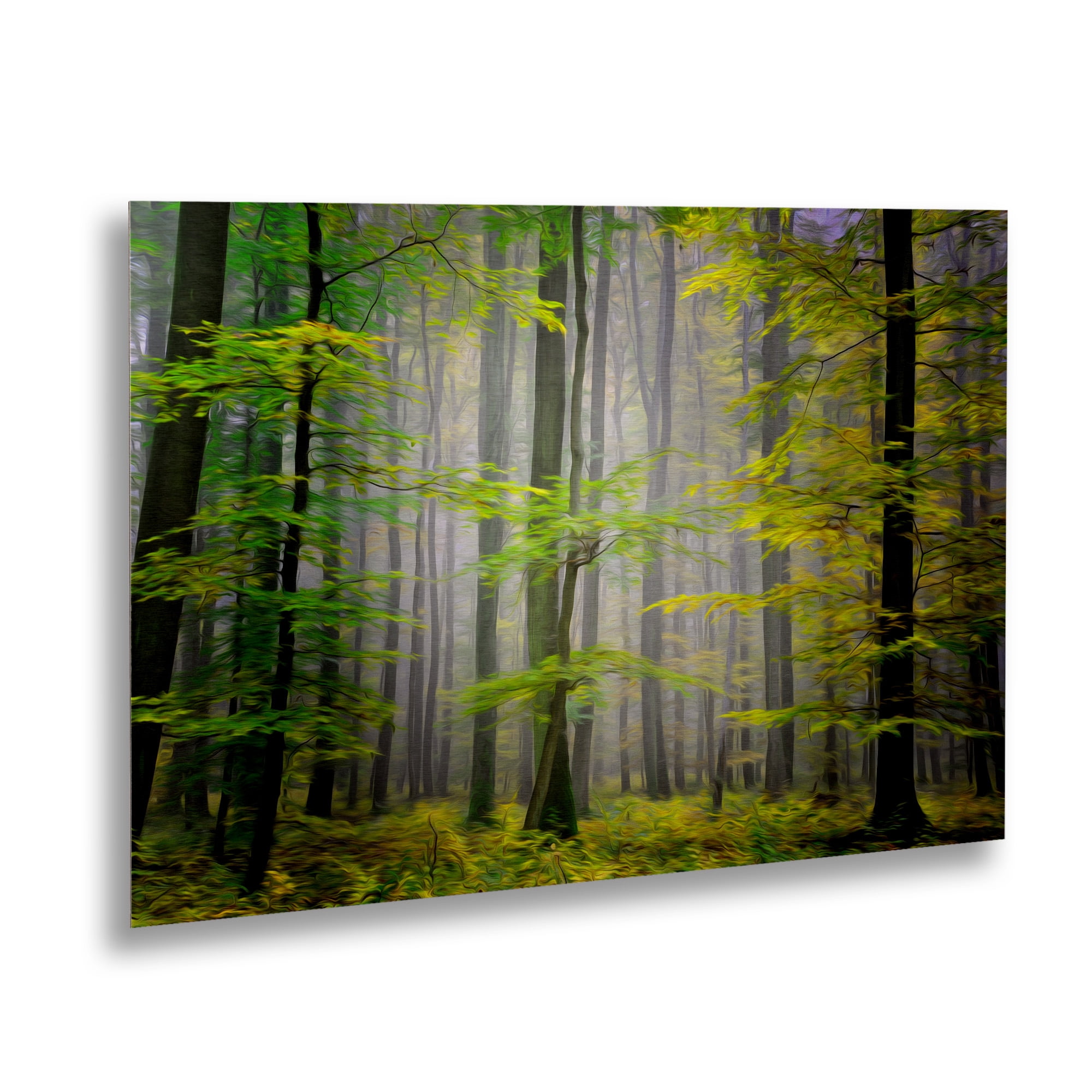 Trademark Fine Art 'Sugar Low' Brushed Aluminum Wall Art Art by Philippe Sainte-Laudy