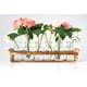 thumbnail image 4 of Florero de cristal Le'raze con soporte de madera para plantas y 6 floreros, 4 of 8