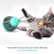 thumbnail image 5 of Mascota balancín bola con fugas vaso divertido gato palo - azul lago oscilante Ormromra 2034919-1, 5 of 9
