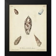 thumbnail image 2 of Knorr 20x24 Black Modern Framed Museum Art Print Titled - Antique Knorr Shells VII, 2 of 5