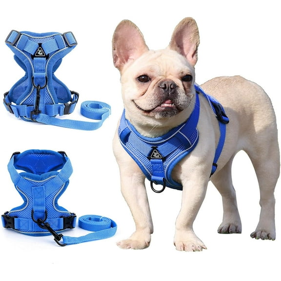 BLRTUN Pet Dog Harness for Small Medium Dogs No Pull Puppy Cats Vest Harness Adjustable Reflective Breathable Mesh Lightweight Harnesses Leash Set Escape Proof for Walking Training