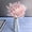 Pink, variant on 120pcs Dried Bunny Tail, Pink Bunny Tail, Natural Bulk Dried Flowers for Diy Bohemian Wedding Rustic Party Decoration, Home Decoration, Vase Decoration, Wreaths, Cake Decoration. (Pink)