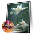 thumbnail image 2 of Diamond Painting 5D DIY Full Round Drill Lilywhites Art Decoración del hogar (A6437) FLhrweasw Nuevo, 2 of 9