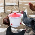 thumbnail image 4 of Farm Innovators Heated 2-Gallon Poultry Water Drinker, White/Red (4 Pack), 4 of 8