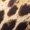 Brown, variant on OYOANGLE Women's Leopard Print Sleeveless Halter Tops Deep V Neck Crop Tank Top Brown S